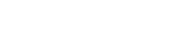 Main logo in header
